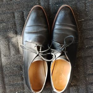 Everlane oxfords